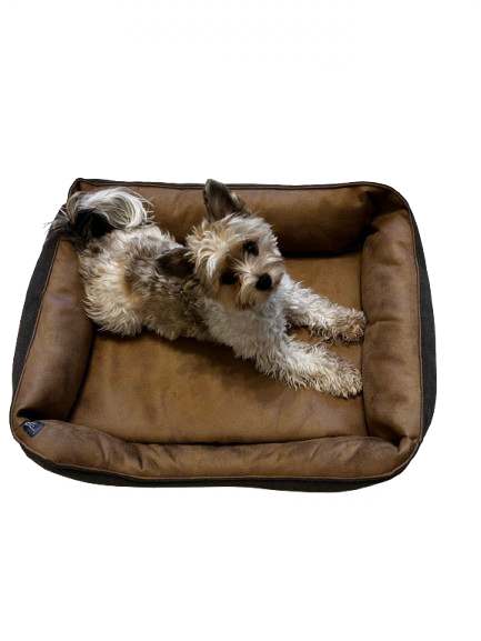 Velours-Kunstleder-Hundebettchen "M" – Bild 3